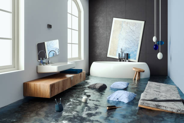 Best Water damage contractors near me  in Denver, NC