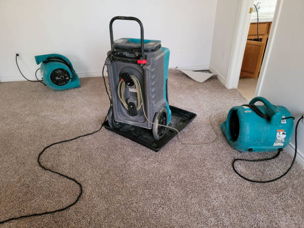 Best Basement water damage restoration  in Denver, NC