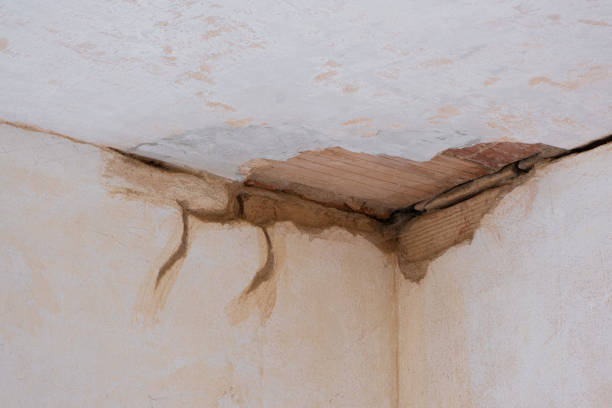 Best Ceiling water damage repair  in Denver, NC