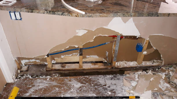 Best Professional water damage repair  in Denver, NC