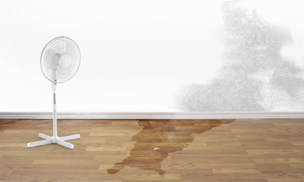 Best Basement water damage restoration  in Denver, NC