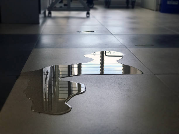 Best Professional water damage repair  in Denver, NC