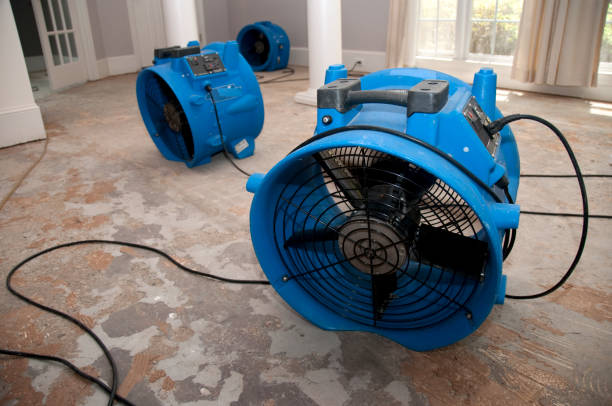 Best Water damage restoration cost  in Denver, NC