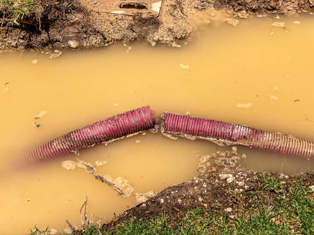 Best Sewage cleanup and water damage restoration  in Denver, NC
