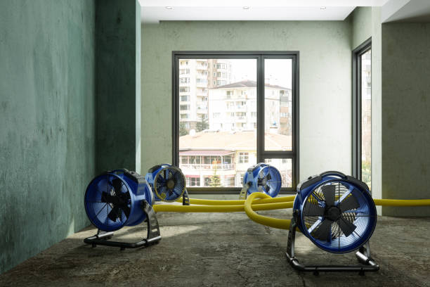 Best Local water damage restoration  in Denver, NC